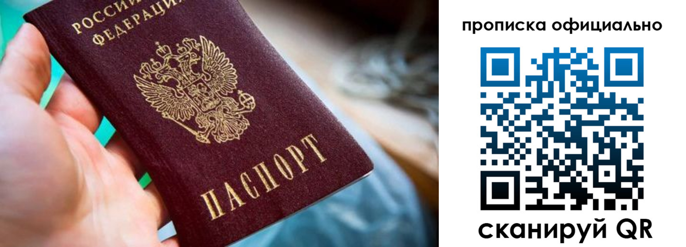 прописка поиск в Светлом